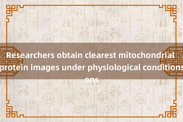 Researchers obtain clearest mitochondrial protein images under physiological conditions