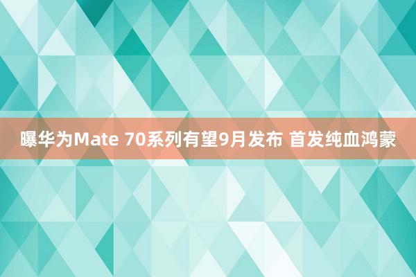 曝华为Mate 70系列有望9月发布 首发纯血鸿蒙