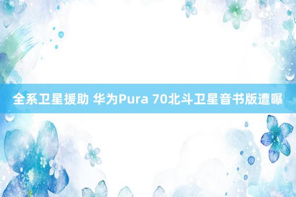 全系卫星援助 华为Pura 70北斗卫星音书版遭曝