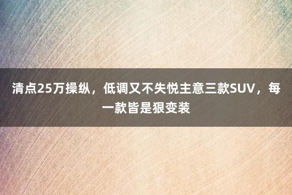 清点25万操纵，低调又不失悦主意三款SUV，每一款皆是狠变装