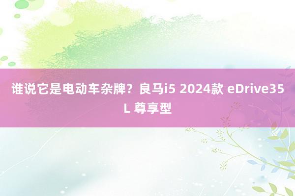 谁说它是电动车杂牌？良马i5 2024款 eDrive35L 尊享型