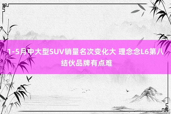 1-5月中大型SUV销量名次变化大 理念念L6第八 结伙品牌有点难