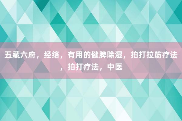 五藏六府，经络，有用的健脾除湿，拍打拉筋疗法，拍打疗法，中医