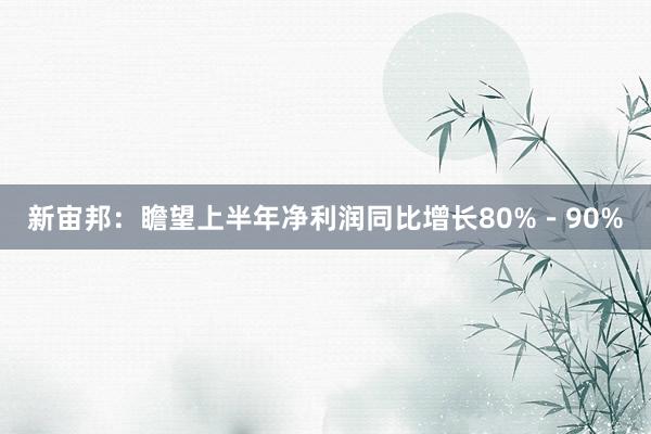 新宙邦：瞻望上半年净利润同比增长80%－90%