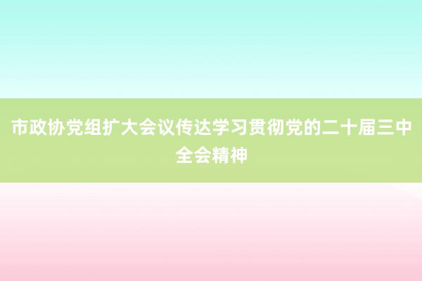 市政协党组扩大会议传达学习贯彻党的二十届三中全会精神