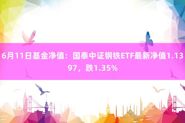 6月11日基金净值：国泰中证钢铁ETF最新净值1.1397，跌1.35%