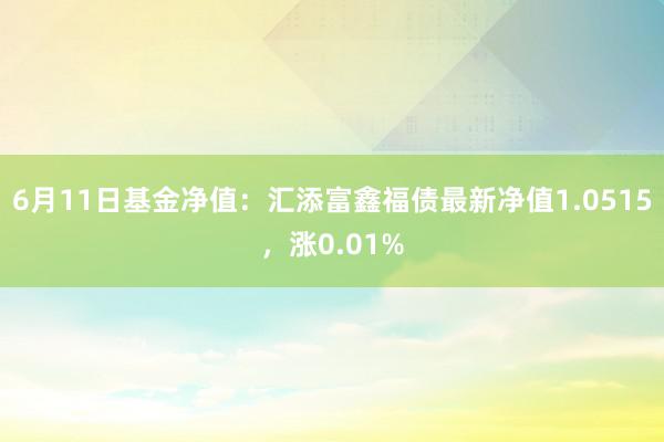 6月11日基金净值：汇添富鑫福债最新净值1.0515，涨0.01%