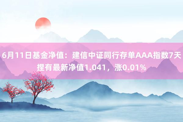 6月11日基金净值：建信中证同行存单AAA指数7天捏有最新净值1.041，涨0.01%