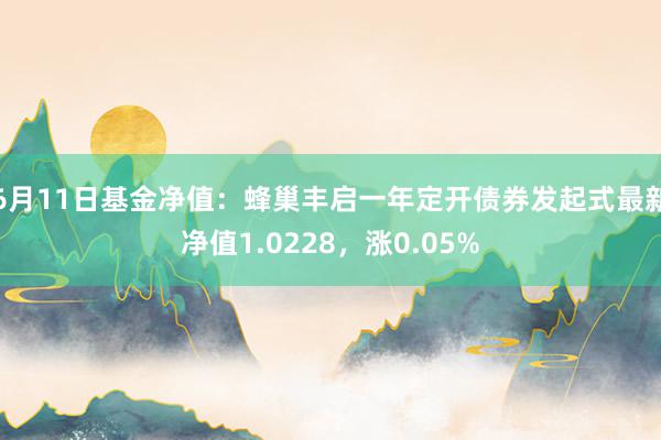 6月11日基金净值：蜂巢丰启一年定开债券发起式最新净值1.0228，涨0.05%