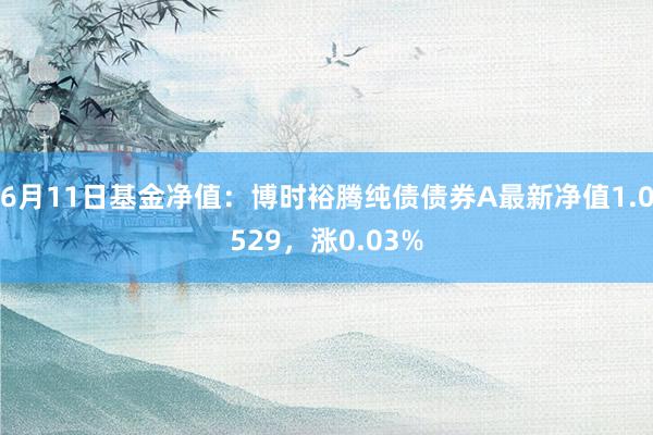 6月11日基金净值：博时裕腾纯债债券A最新净值1.0529，涨0.03%