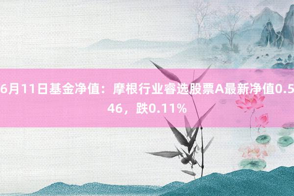 6月11日基金净值：摩根行业睿选股票A最新净值0.546，跌0.11%