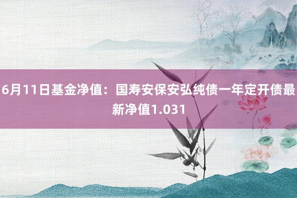 6月11日基金净值：国寿安保安弘纯债一年定开债最新净值1.031