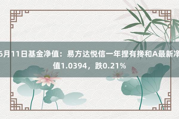 6月11日基金净值：易方达悦信一年捏有搀和A最新净值1.0394，跌0.21%