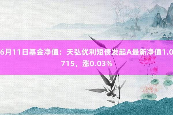 6月11日基金净值：天弘优利短债发起A最新净值1.0715，涨0.03%