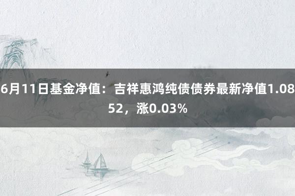 6月11日基金净值：吉祥惠鸿纯债债券最新净值1.0852，涨0.03%