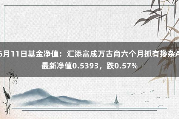 6月11日基金净值：汇添富成万古尚六个月抓有搀杂A最新净值0.5393，跌0.57%