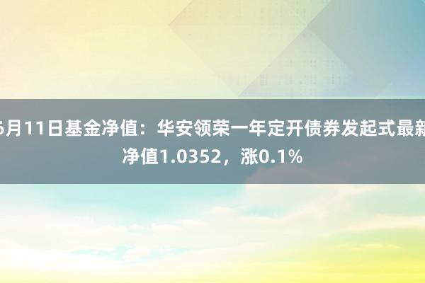 6月11日基金净值：华安领荣一年定开债券发起式最新净值1.0352，涨0.1%