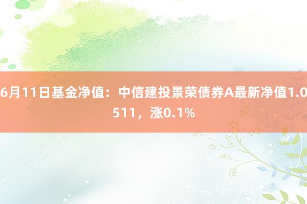 6月11日基金净值：中信建投景荣债券A最新净值1.0511，涨0.1%