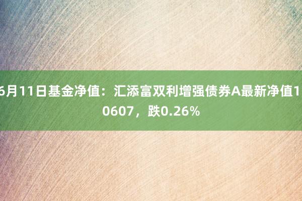 6月11日基金净值：汇添富双利增强债券A最新净值1.0607，跌0.26%