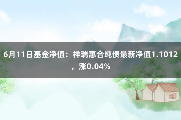 6月11日基金净值：祥瑞惠合纯债最新净值1.1012，涨0.04%