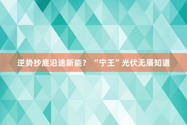 逆势抄底沿途新能？ “宁王”光伏无餍知道