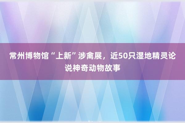 常州博物馆“上新”涉禽展，近50只湿地精灵论说神奇动物故事