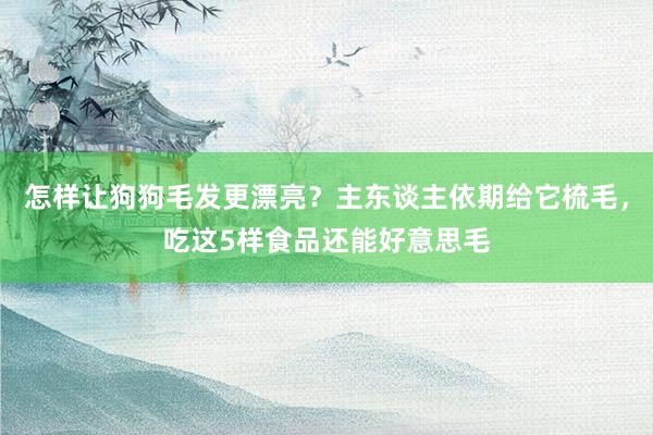 怎样让狗狗毛发更漂亮？主东谈主依期给它梳毛，吃这5样食品还能好意思毛