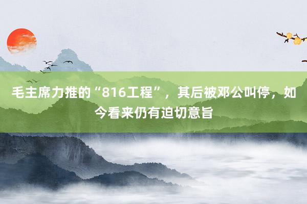 毛主席力推的“816工程”，其后被邓公叫停，如今看来仍有迫切意旨