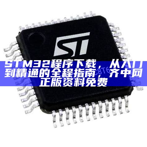 STM32程序下载，从入门到精通的全程指南， 齐中网正版资料免费