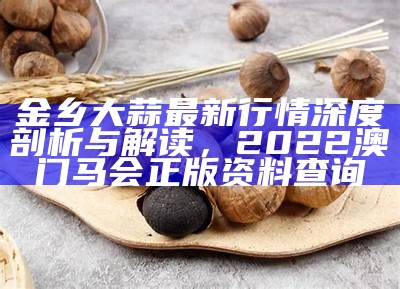 金乡大蒜最新行情深度剖析与解读， 2022澳门马会正版资料查询