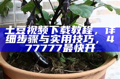 土豆视频下载教程，详细步骤与实用技巧， 477777最快开