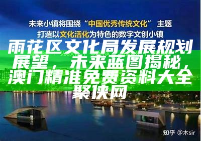 雨花区文化局发展规划展望，未来蓝图揭秘， 澳门精准免费资料大全聚侠网