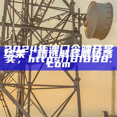 2024年澳门精准免费大全,动态词语解释落实_XT80.73， 澳门资料免费大全