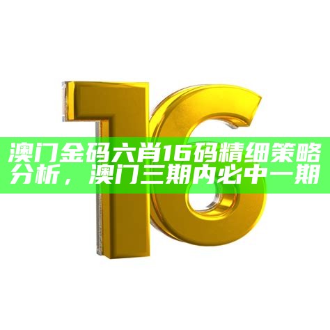 澳门金码六肖16码精细策略分析， 澳门三期内必中一期