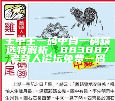 2023澳门今晚开什么码？解析创新性计划， 开心情网